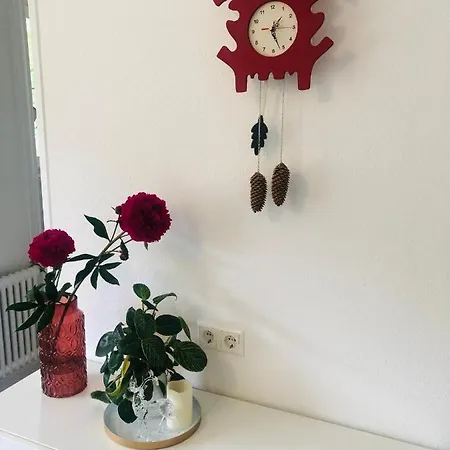Haus Anna-Marie Appartement Feldberg  Buitenkant foto